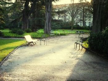 Empty footpath in park
