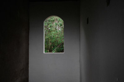 Close-up of window on wall