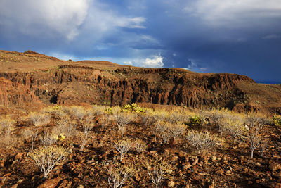 Scenic view of landscape against clear sky