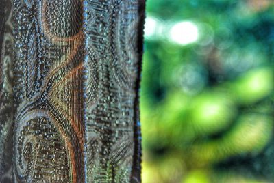 Close-up of fishing net on tree trunk