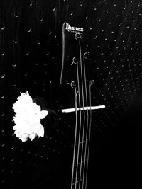 Close-up of guitar against black background