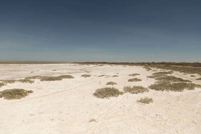 Scenic view of desert against clear sky