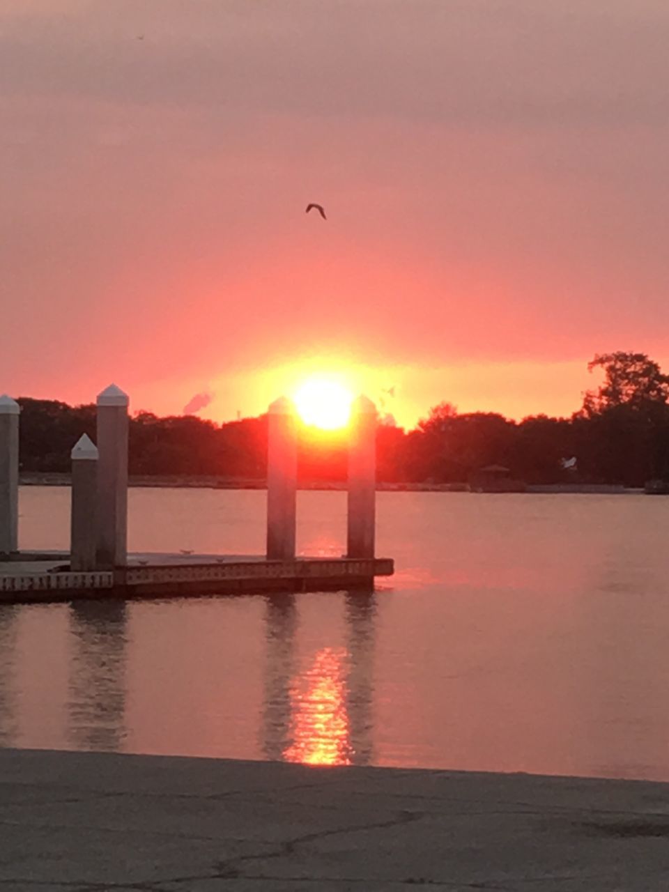 sunset, orange color, water, sea, beauty in nature, sun, scenics, nature, tranquil scene, sky, reflection, no people, bird, sunlight, outdoors, tranquility, built structure, silhouette, horizon over water, architecture, building exterior, clear sky, animal themes, day