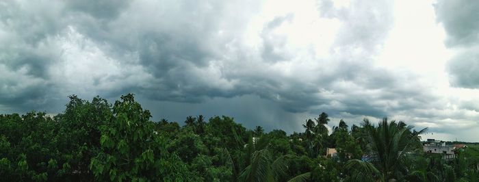 Panoramic view of trees against cloudy sky