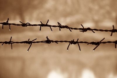 Close-up of barbed wire fence against sky