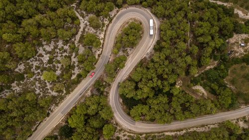 High angle view of road amidst trees in forest