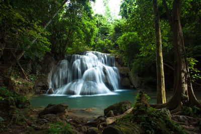 Low angle view of waterfall in forest