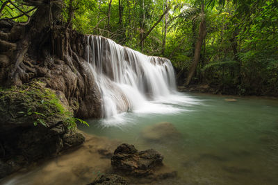 Scenic view of waterfall in forest