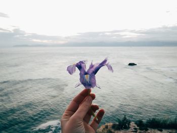 Close-up of hand holding umbrella against sky