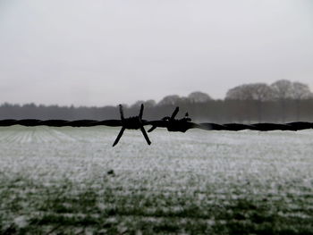 Close-up of barbed wire against landscape