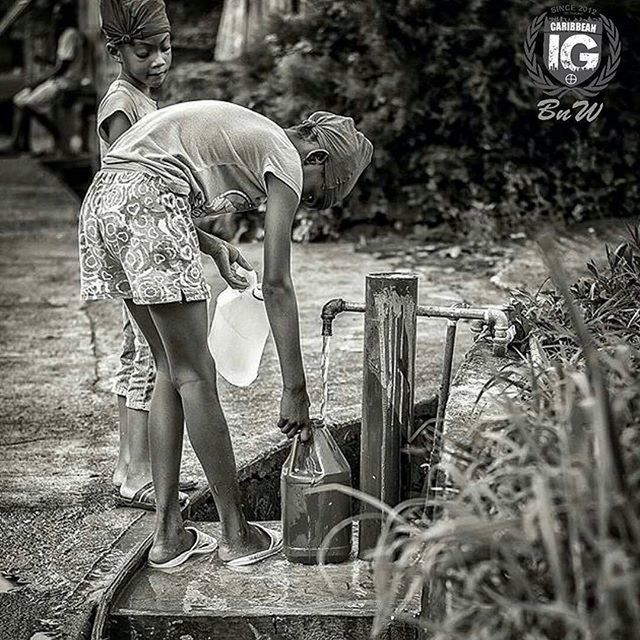 casual clothing, lifestyles, standing, leisure activity, holding, rear view, focus on foreground, childhood, full length, men, girls, wood - material, front view, outdoors, elementary age, person, day, boys