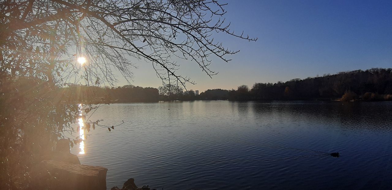 reflection, water, tree, morning, sky, tranquility, beauty in nature, nature, lake, dawn, plant, scenics - nature, tranquil scene, sunrise, sunlight, sun, no people, animal, animal themes, silhouette, animal wildlife, bird, wildlife, outdoors, idyllic, winter, landscape, body of water, travel destinations, environment, clear sky, non-urban scene, group of animals