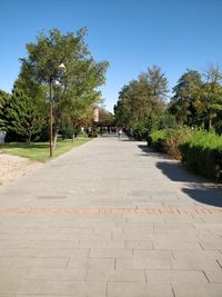 Footpath amidst trees in park against sky