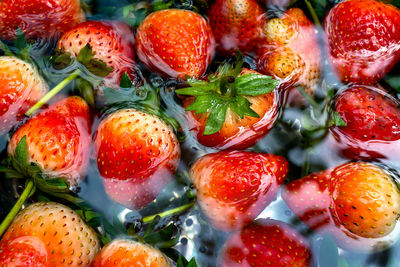 Close-up of strawberries