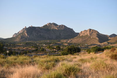 Scenic view of landscape against clear sky