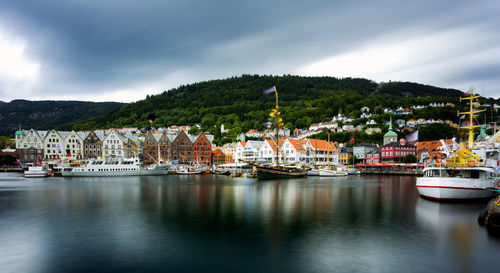 Sailboats moored in harbor