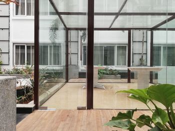 Potted plants on glass window of building