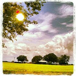 Scenic view of grassy field against sky