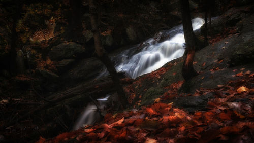 River flowing through rocks