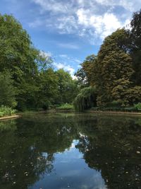 Scenic view of lake in forest against sky