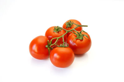 Close-up of tomatoes against white background