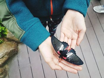 High angle view of man holding butterfly 