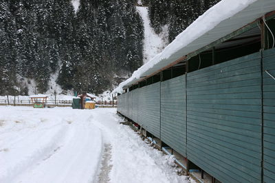 Snow covered railroad tracks by trees during winter