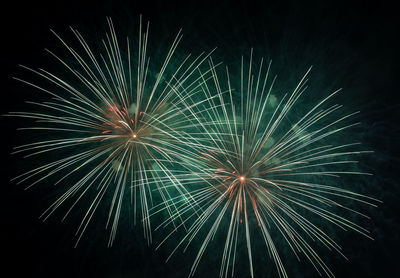 Low angle view of firework display at night