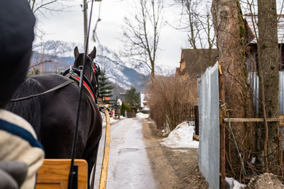 Photo from a horse carriage riding through the streets of the city of zakopane.