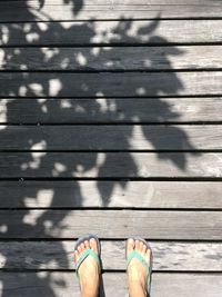 Low section of person standing on wooden floor