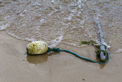 Close-up of rope on beach