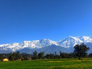 Scenic view of snowcapped mountains against clear blue sky