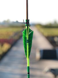 Close-up of leaf hanging on pole