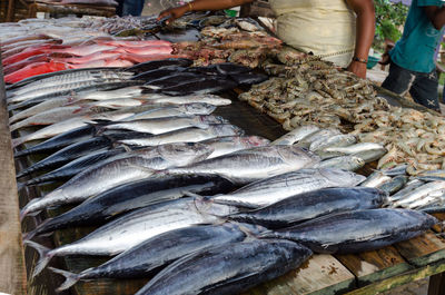 View of fish for sale at market