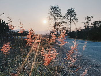 Scenic view of lake against sky at sunset