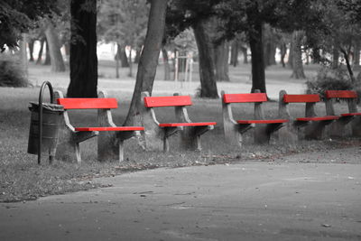 Lounge chairs and trees in park