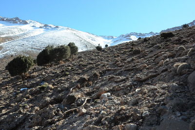 Scenic view of snowcapped mountains against clear sky