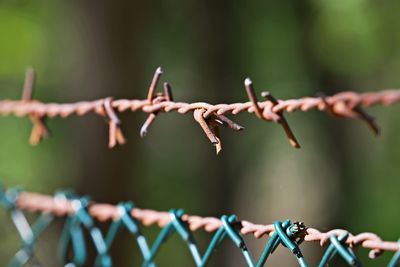 Close-up of barbed wire fence