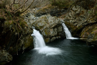 Scenic view of waterfall in forest