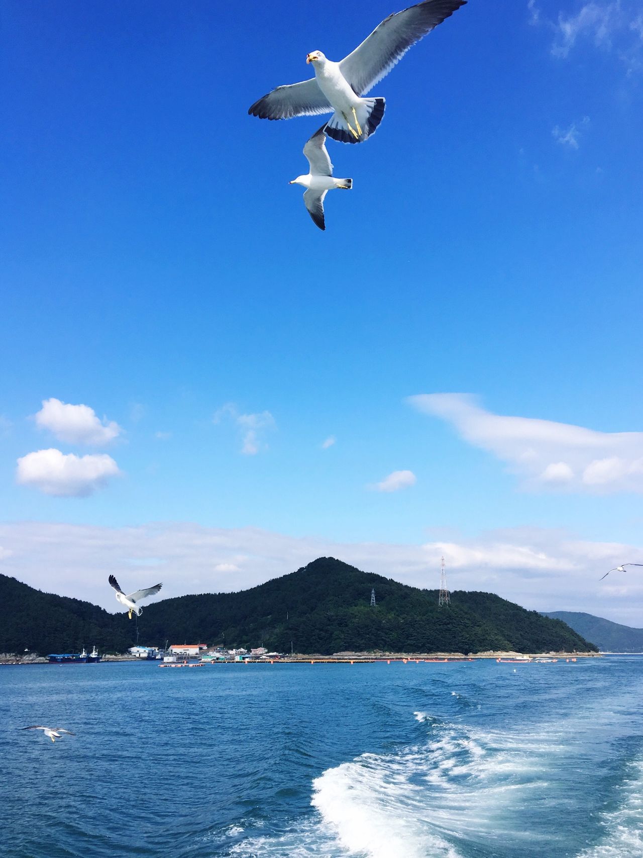 한려해상국립공원