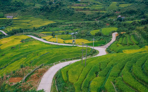 High angle view of agricultural field