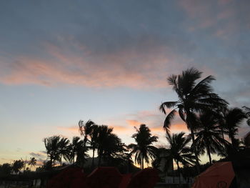 Silhouette of palm trees at sunset