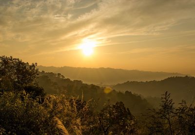 Scenic view of forest against sky during sunset