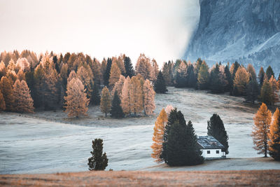 Scenic view of snow covered trees against sky