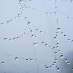 drop