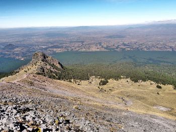 Close-up of tree against sky