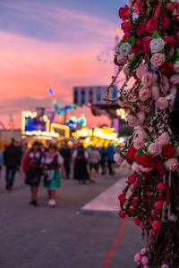 Close-up of pink flowering plants at market during sunset