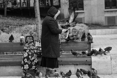 Rear view of people at birds