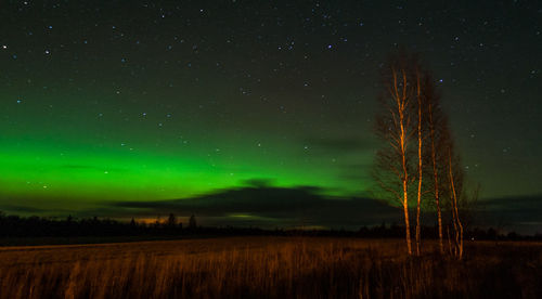 Scenic view of field against sky at night