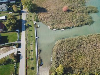 High angle view of river amidst trees